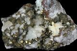Pyrite On Calcite - El Hammam Mine, Morocco #80368-2